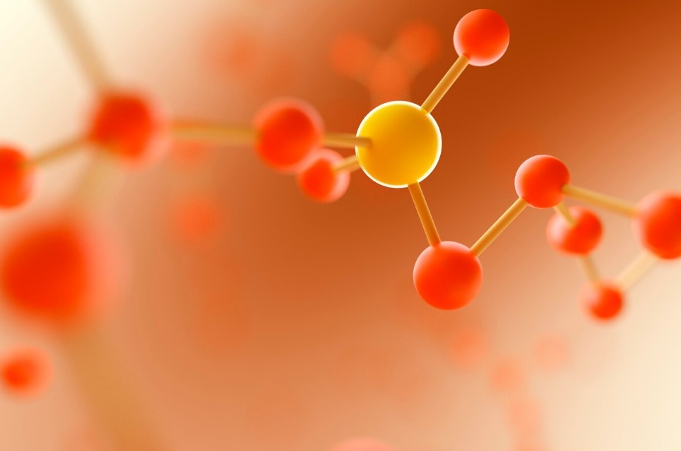 NAD+ for increasing lifespan