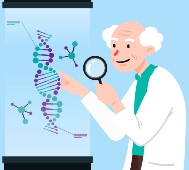 The ultimate guide to a long and healthy life in Europe