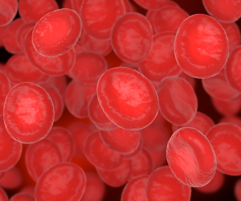 Unlocking Longevity: The Role of Blood Health and How to Improve It